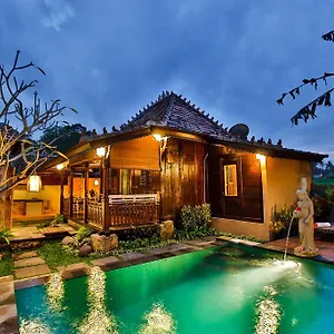https://villa-nini.ubudhotelsnow.com